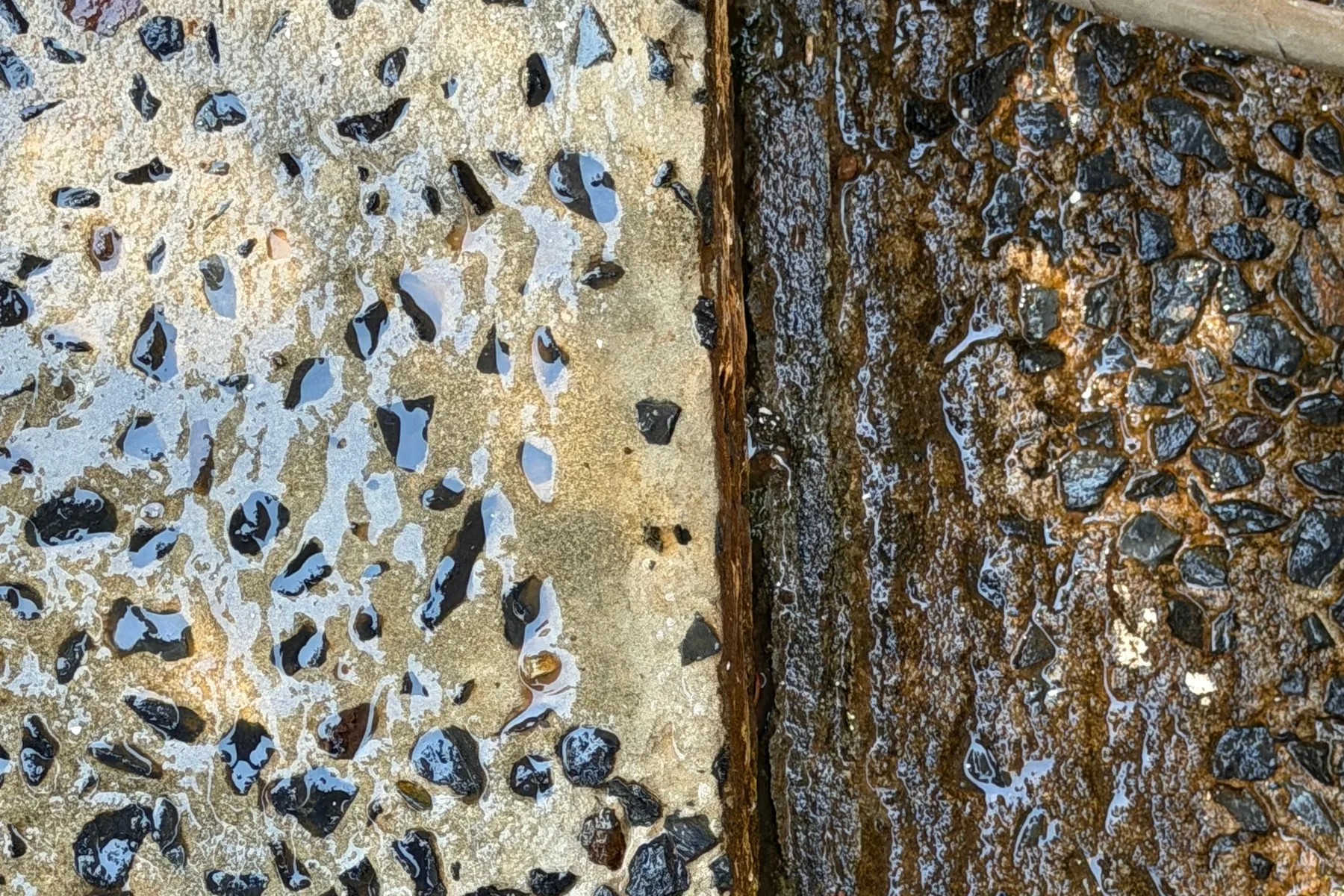 A close-up of an exposed aggregate concrete step halfway through pressure washing: the cleaned side pale and bright, the untouched side dark with mould and grime